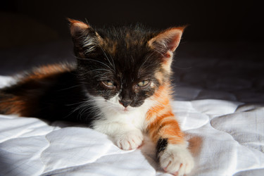 Similar image 12201852