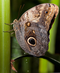 Similar image 12205210