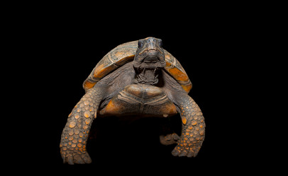 Similar image 12220470