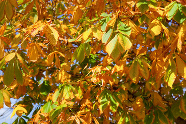 Similar image 12202208