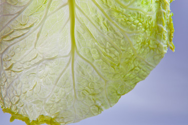 Similar image 12205418