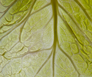 Similar image 12220475