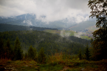 Similar image 12218247