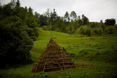 Similar image 12218248