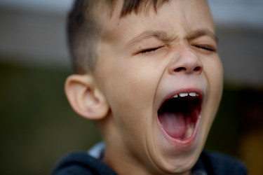 Similar image 12218249