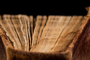 Similar image 12220033