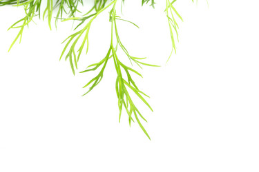 Similar image 12220103