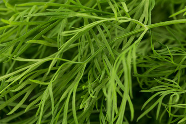 Similar image 12219867