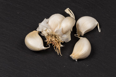 Similar image 12219895