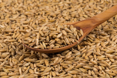 Similar image 12219911