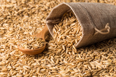 Similar image 12219926