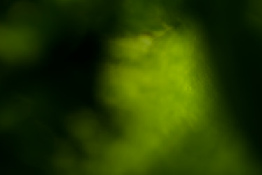 Similar image 12219853