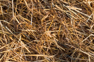 Similar image 12219896