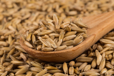 Similar image 12219897