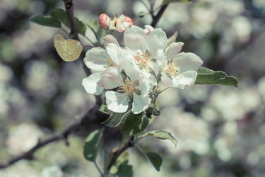 Similar image 12219912