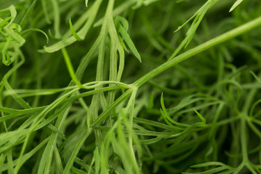 Similar image 12219959