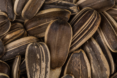 Similar image 12220120