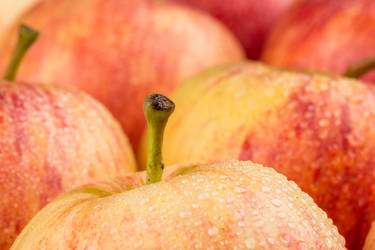 Similar image 12220214