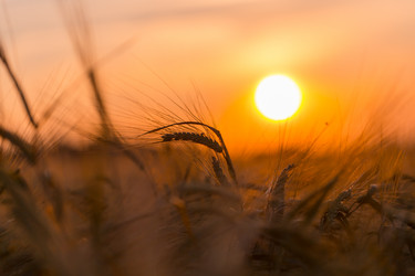 Similar image 12220019