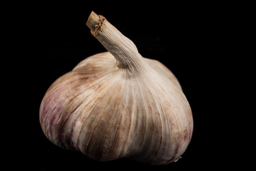 Similar image 12219397