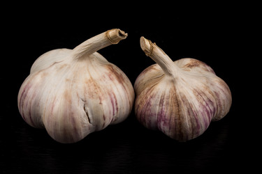 Similar image 12219402