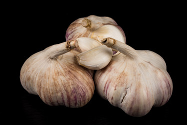 Similar image 12219419