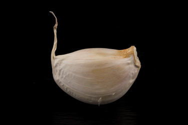 Similar image 12219421