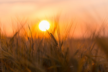 Similar image 12219475