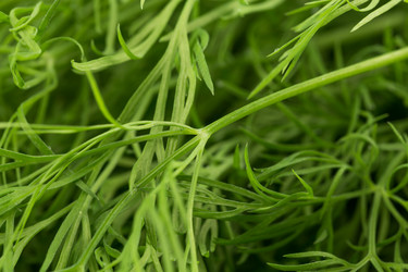 Similar image 12219870