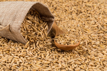 Similar image 12219886