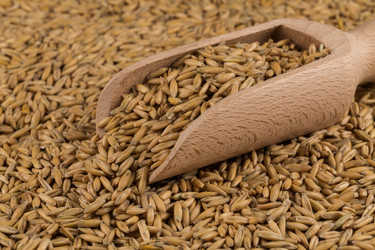 Similar image 12219991