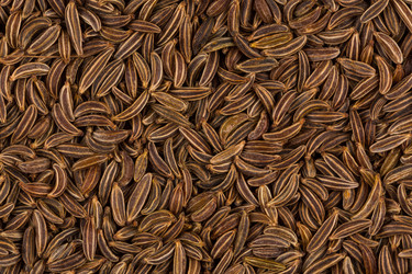 Similar image 12220049