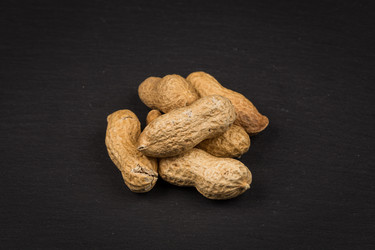 Similar image 12220227