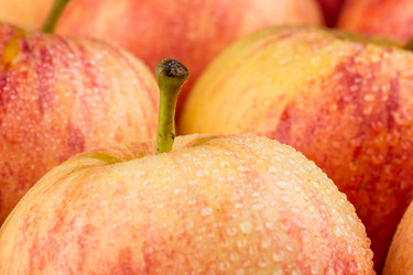 Similar image 12220297