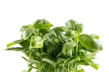 Similar image 12220344