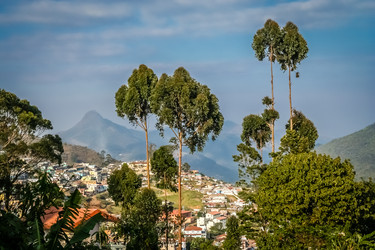 Similar image 12201772