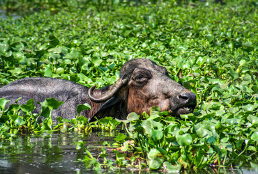 Similar image 12202257