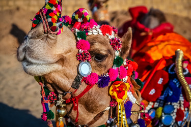 Similar image 12208088