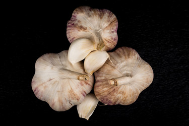 Similar image 12219805