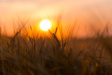 Similar image 12219823