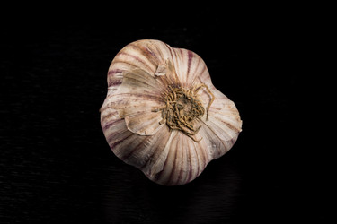 Similar image 12219887