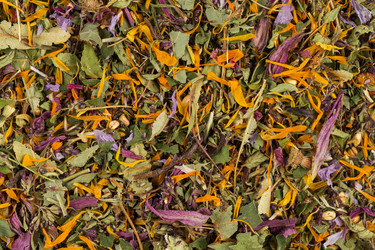 Similar image 12219976