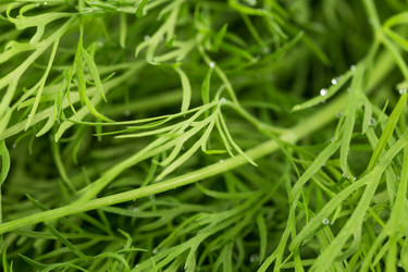 Similar image 12220151