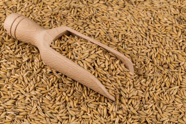 Similar image 12220152