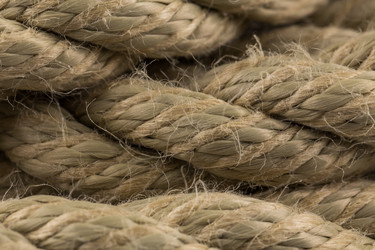 Similar image 12220160