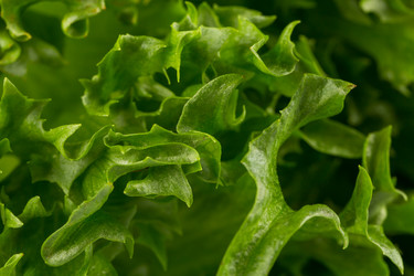 Similar image 12220233