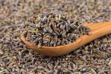 Similar image 12220253