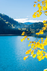 Similar image 12198657