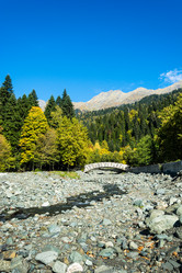 Similar image 12198679