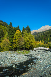 Similar image 12198680